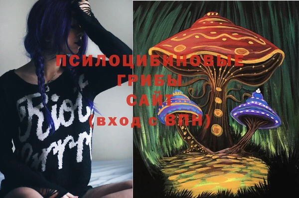 mdpv Бугульма