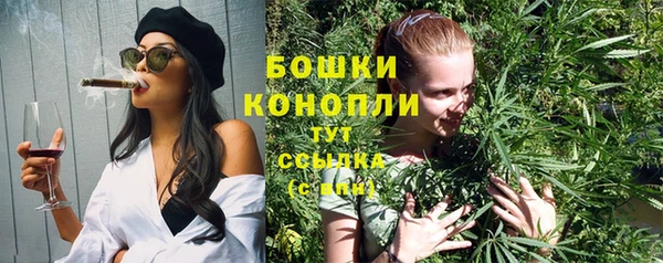 PSILOCYBIN Бородино