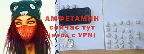 PSILOCYBIN Бородино