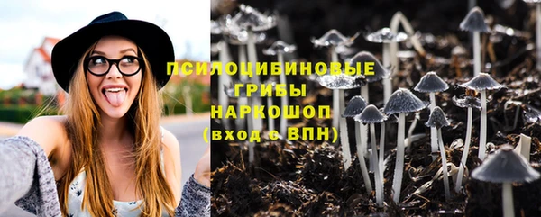 mdpv Бугульма