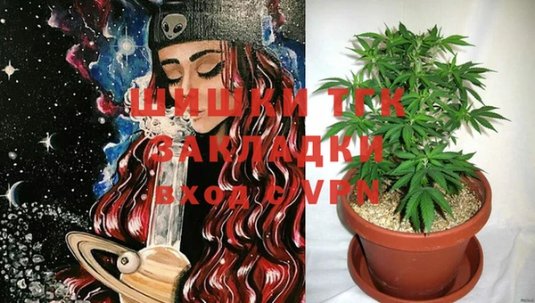 PSILOCYBIN Бородино