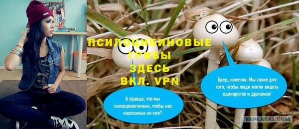 mdpv Бугульма