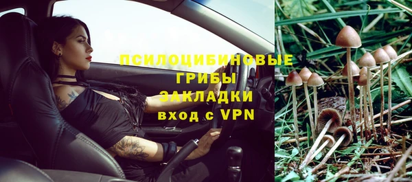mdpv Бугульма