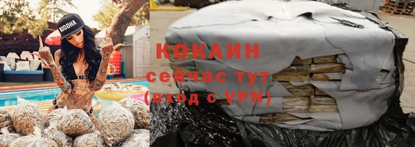 PSILOCYBIN Бородино