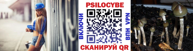 Купить  Невель  Галлюциногенные грибы GOLDEN TEACHER 